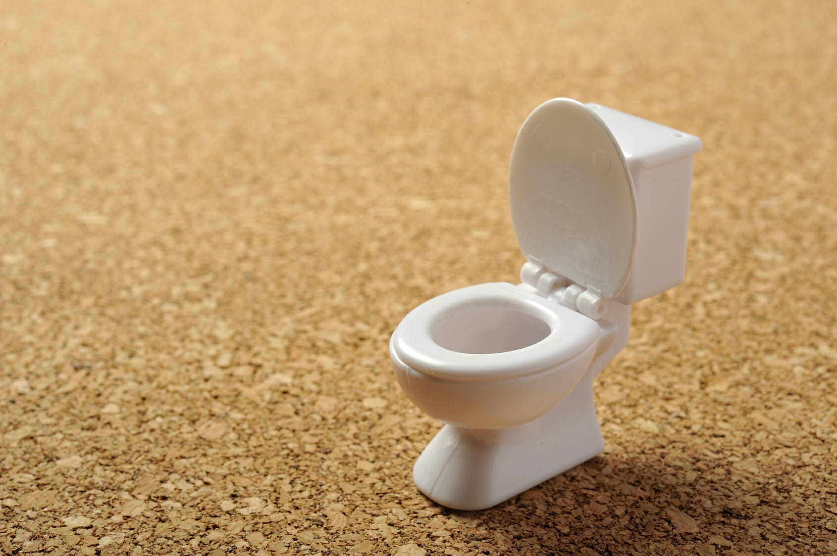 トイレつまりの様々な原因とその直し方 トイレのトラブルドクター / トイレつまりの対処法トイレのトラブルドクター